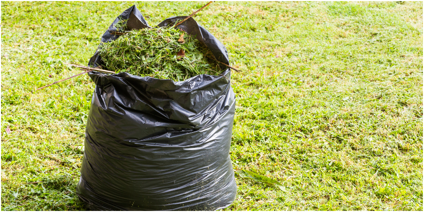 What Happens to Other Plastic Bags After the SUPPR  in Canada?