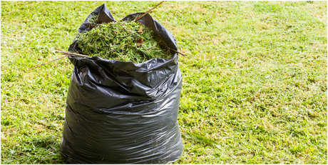 What Happens to Other Plastic Bags After the SUPPR  in Canada?