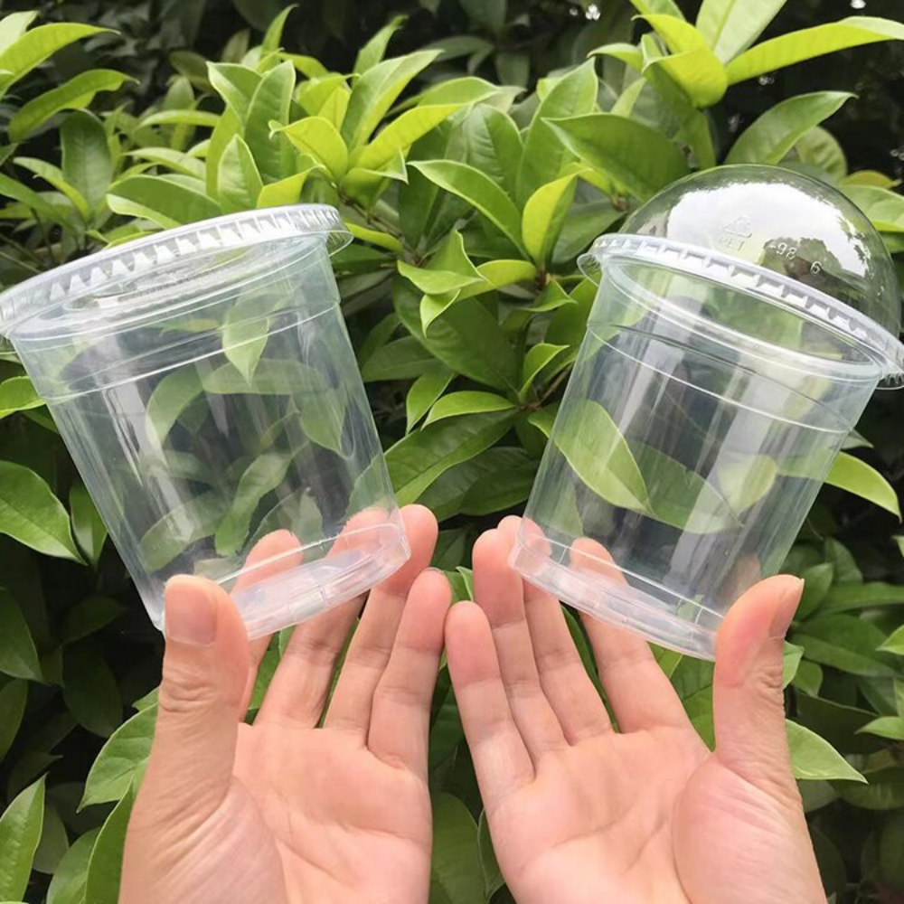 HD-18 | 18oz PET Clear Cold Drink Cup - Flat Lid Dome Lid