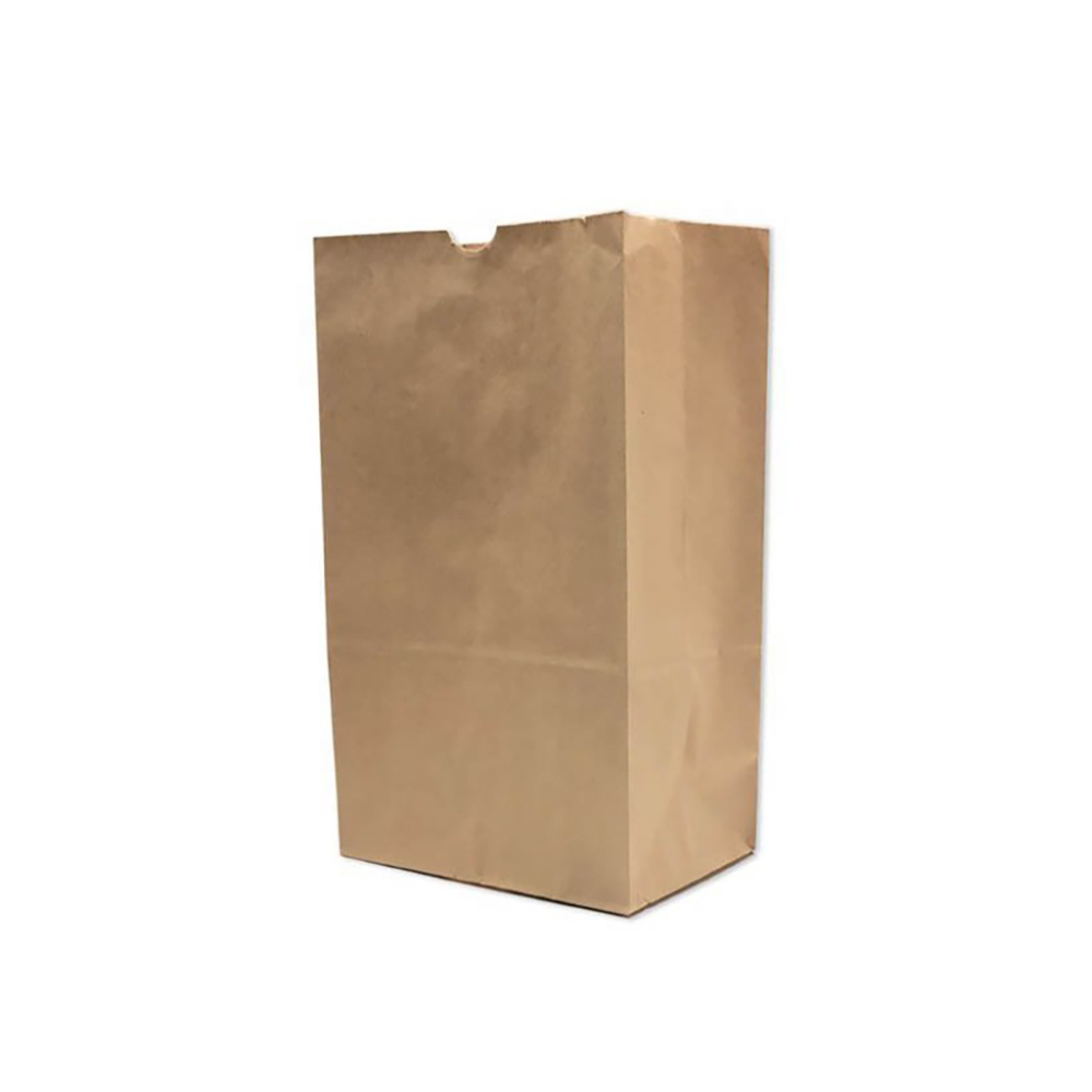 HD-9610 | Recycled Kraft Paper Bag (No Handle)  | 9.75x6x16" - 400 Pcs-front