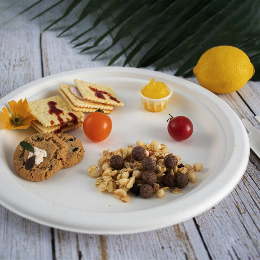 HD-P013 | 9" Compostable Sugarcane White Round Plate - with food