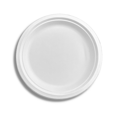 HD-RP10 | 10" Eco-Friendly Sugarcane White Plate - 500 Pcs-top