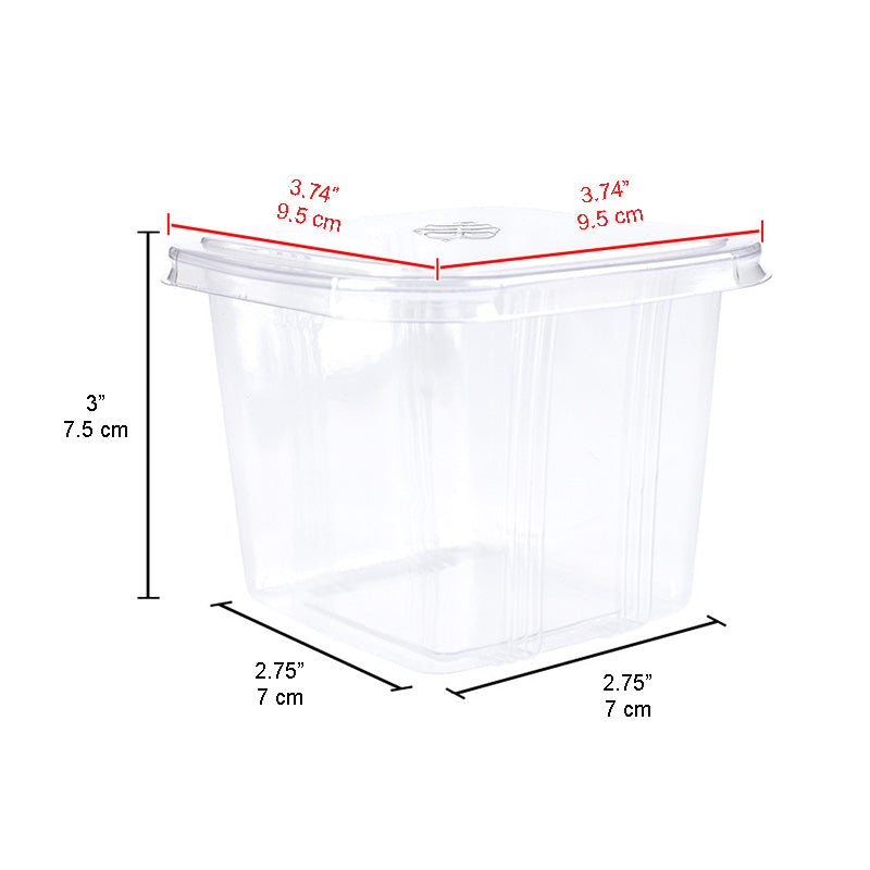 Boîte à mousse carrée en plastique transparent de 12 oz avec couvercle - 200 ensembles