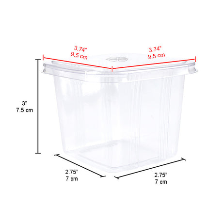 12oz Square Clear Plastic Mousse Box W/ Lid