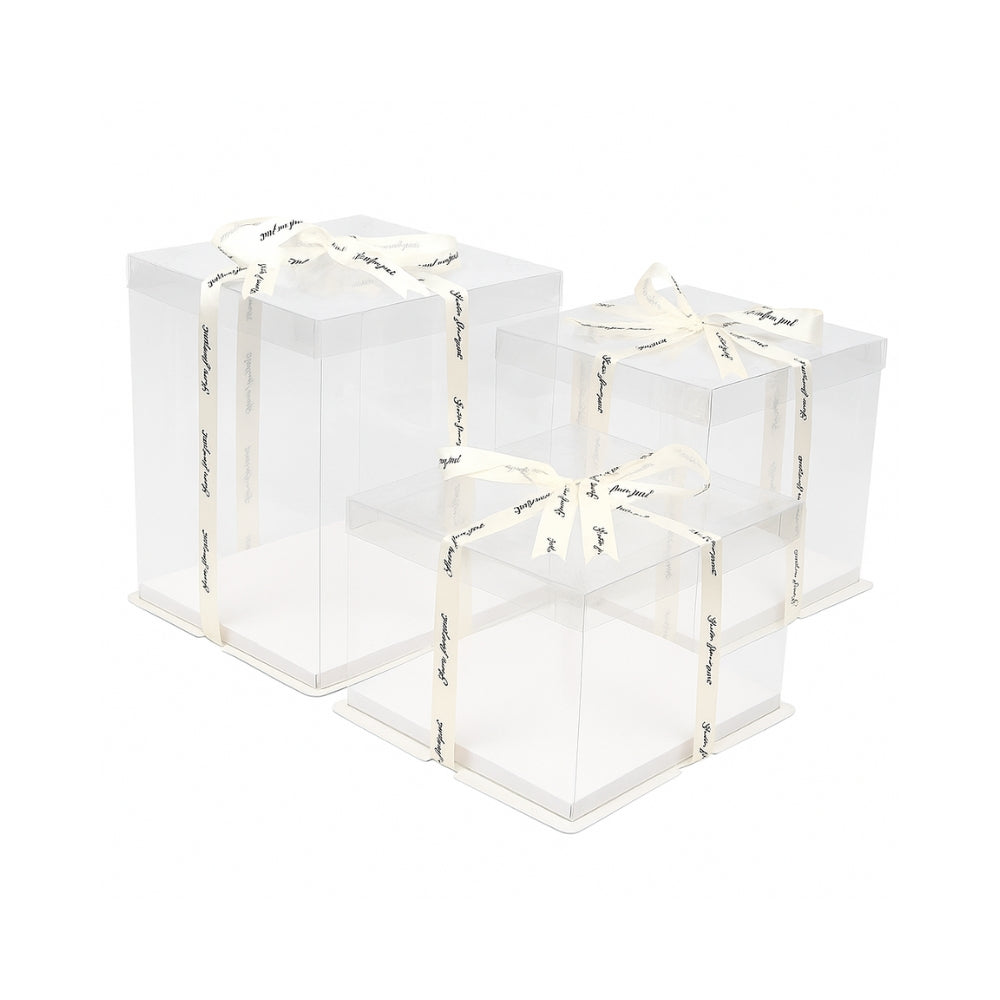 Plastic Clear Square Cake Box W/ Clear Lid No Ribbon) on a table hdbiopak
