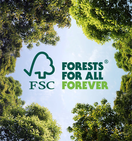 Preserving Forests, Protecting Your Profit: Why FSC® Certification Matters