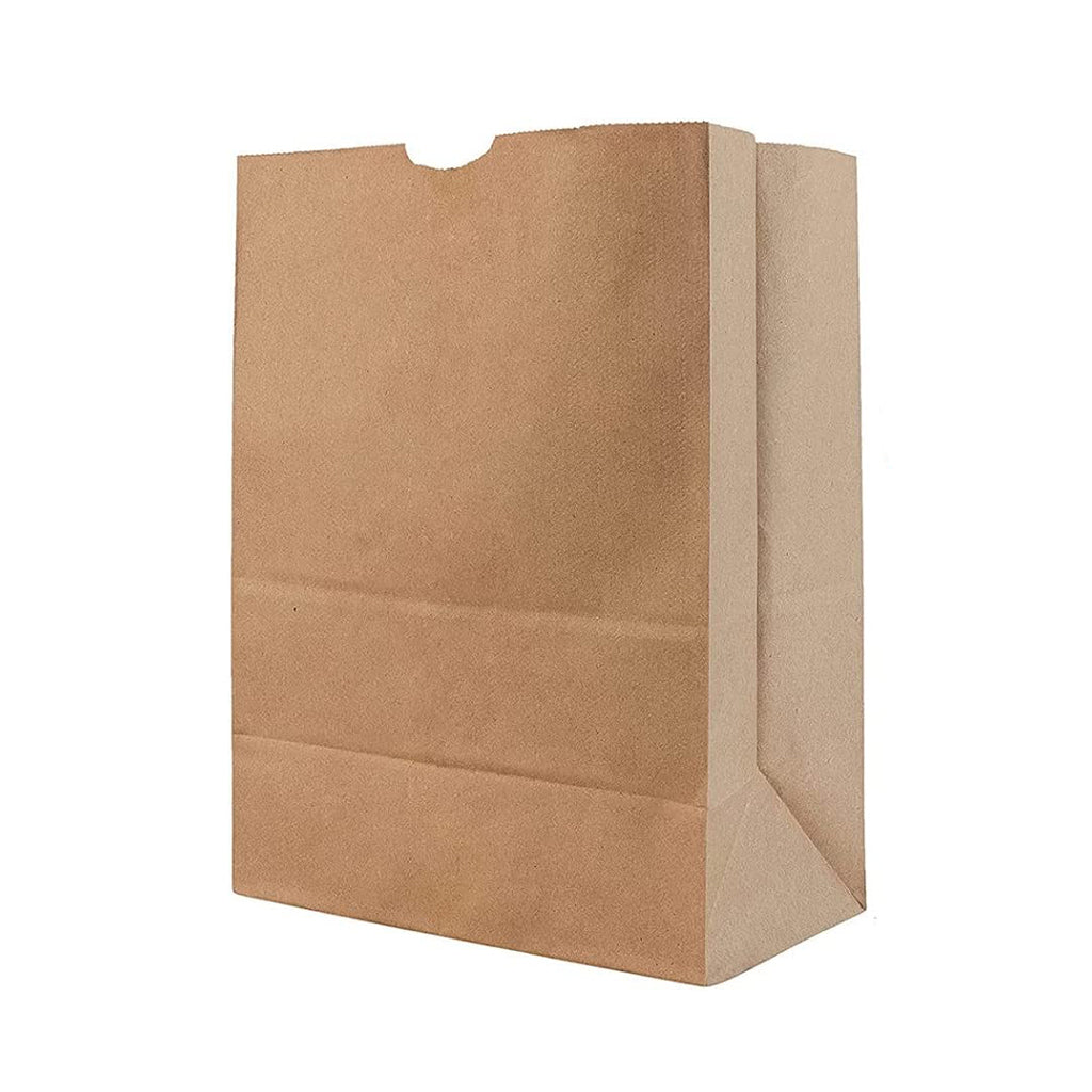 HD-12717 Recyclable Kraft Paper Bag With No Handle | 12x7x17