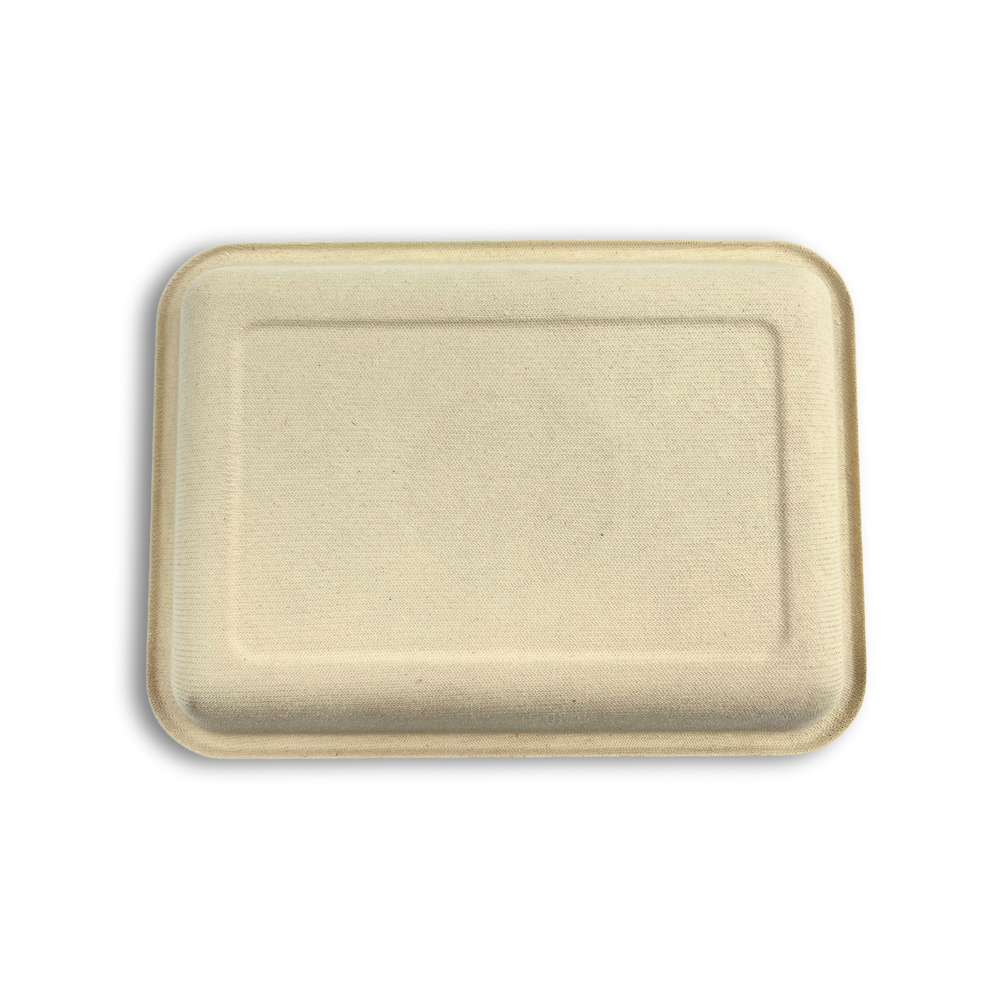 2D Compostable Rectangular Sugarcane Tray | Bagasse Plate | 8.86x6.5x1"-back