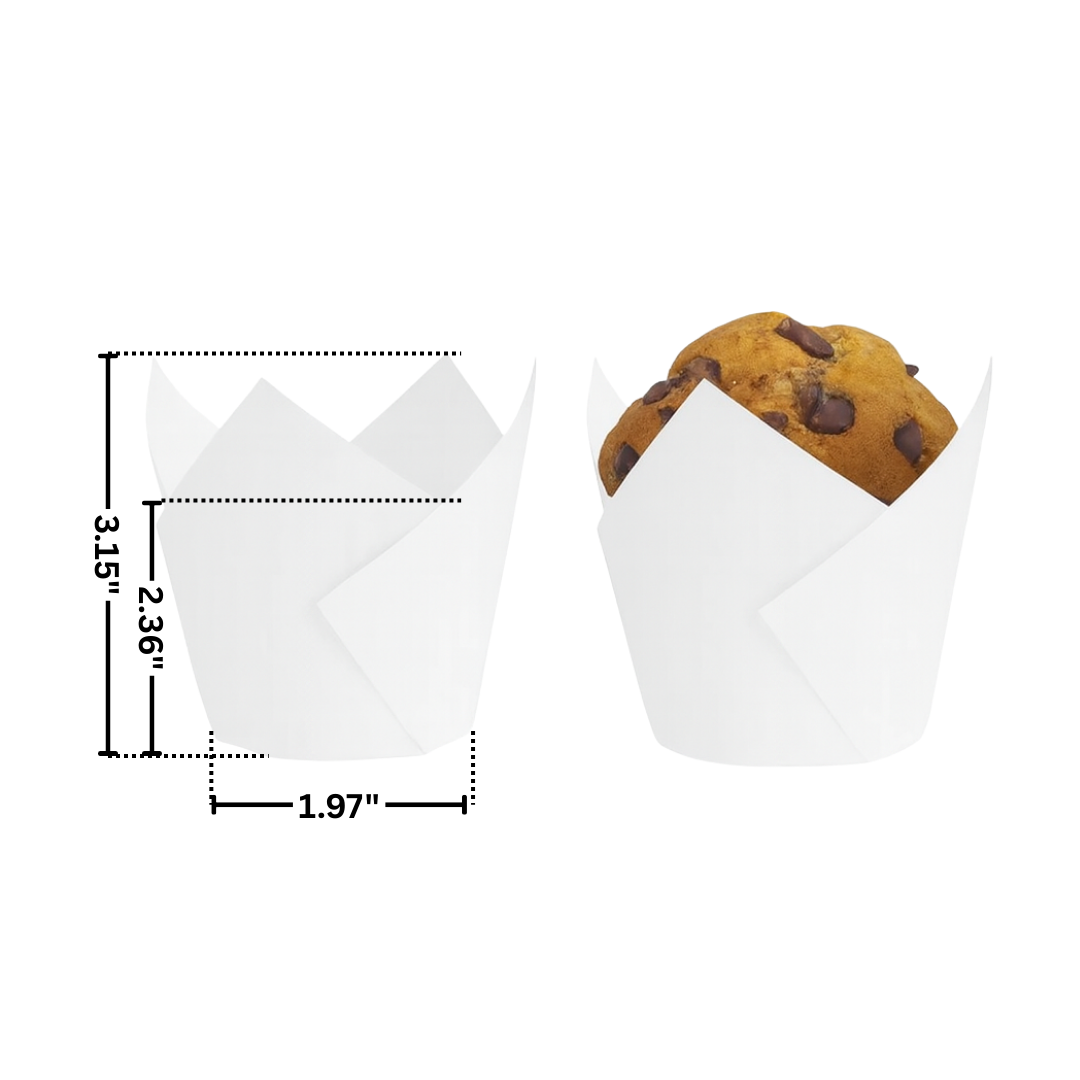 6" White Tulip Cupcake Baking Cup Muffin Liner Holder-size