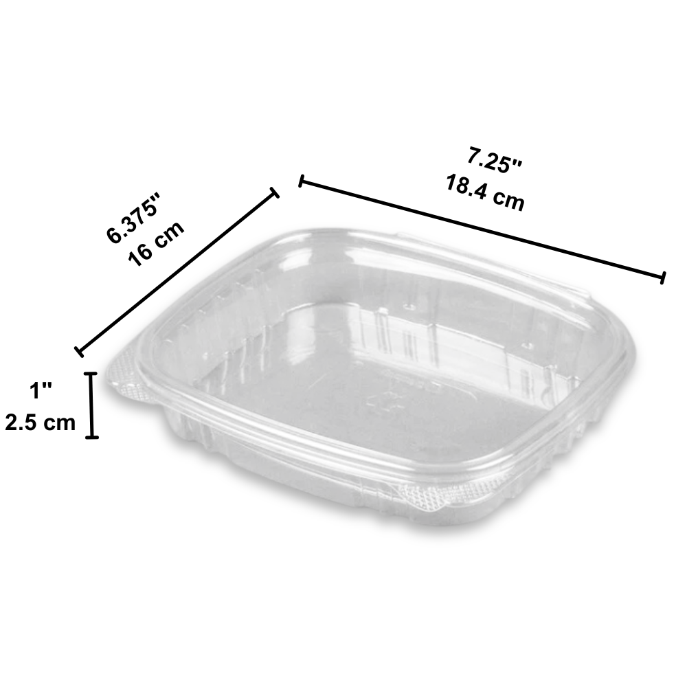 AD16S 16oz Clear Shallow Hinged Deli Container | 7.25x6.375x1" - size
