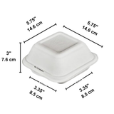 HD-B024 | Sugarcane Clamshell Food Container | 5.75x5.75x3" - size