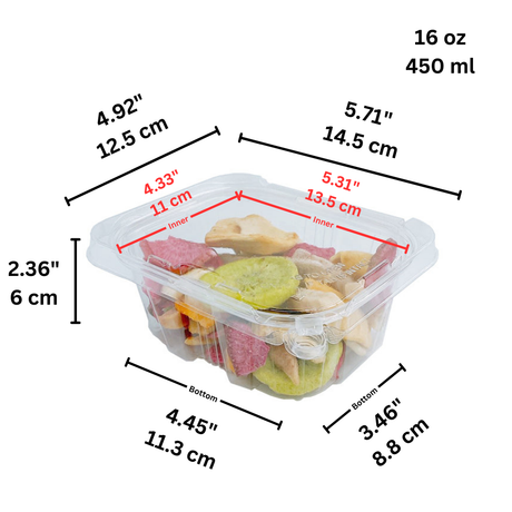 PLS-16 | 16oz PET Clear Rectangular Hinged Safety Lock Salad Container - size