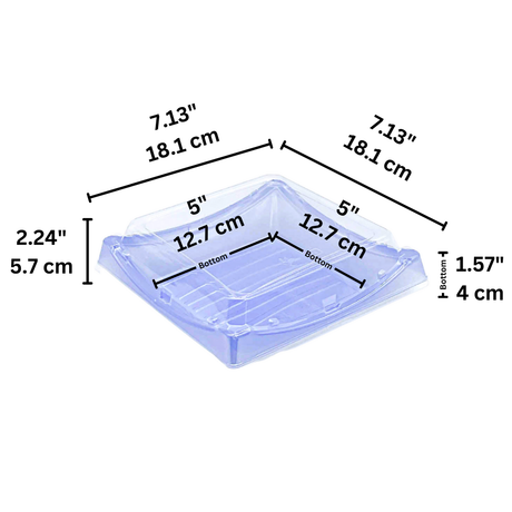 SK-40 | Blue Square Sushi Container W/ Clear Lid | 7.13x7.13x2.24" - size