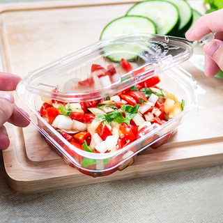 Disposable Salad Container Wholesale - Lesui